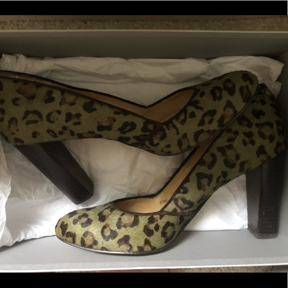 C. Wonder Size 36 Pumps